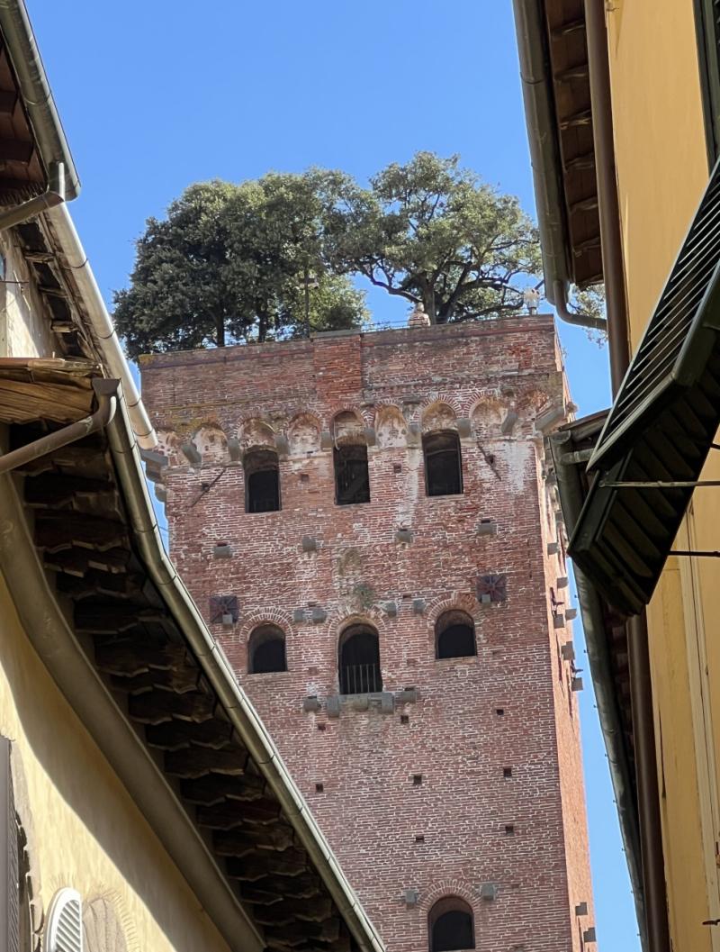 Pisa and Lucca Private Tour from Florence Hotel-9