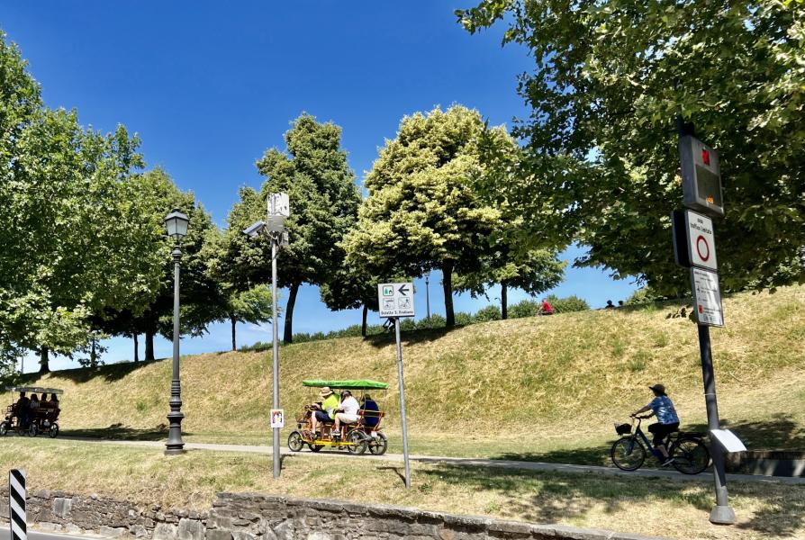 Pisa and Lucca Private Tour from Florence Hotel-23